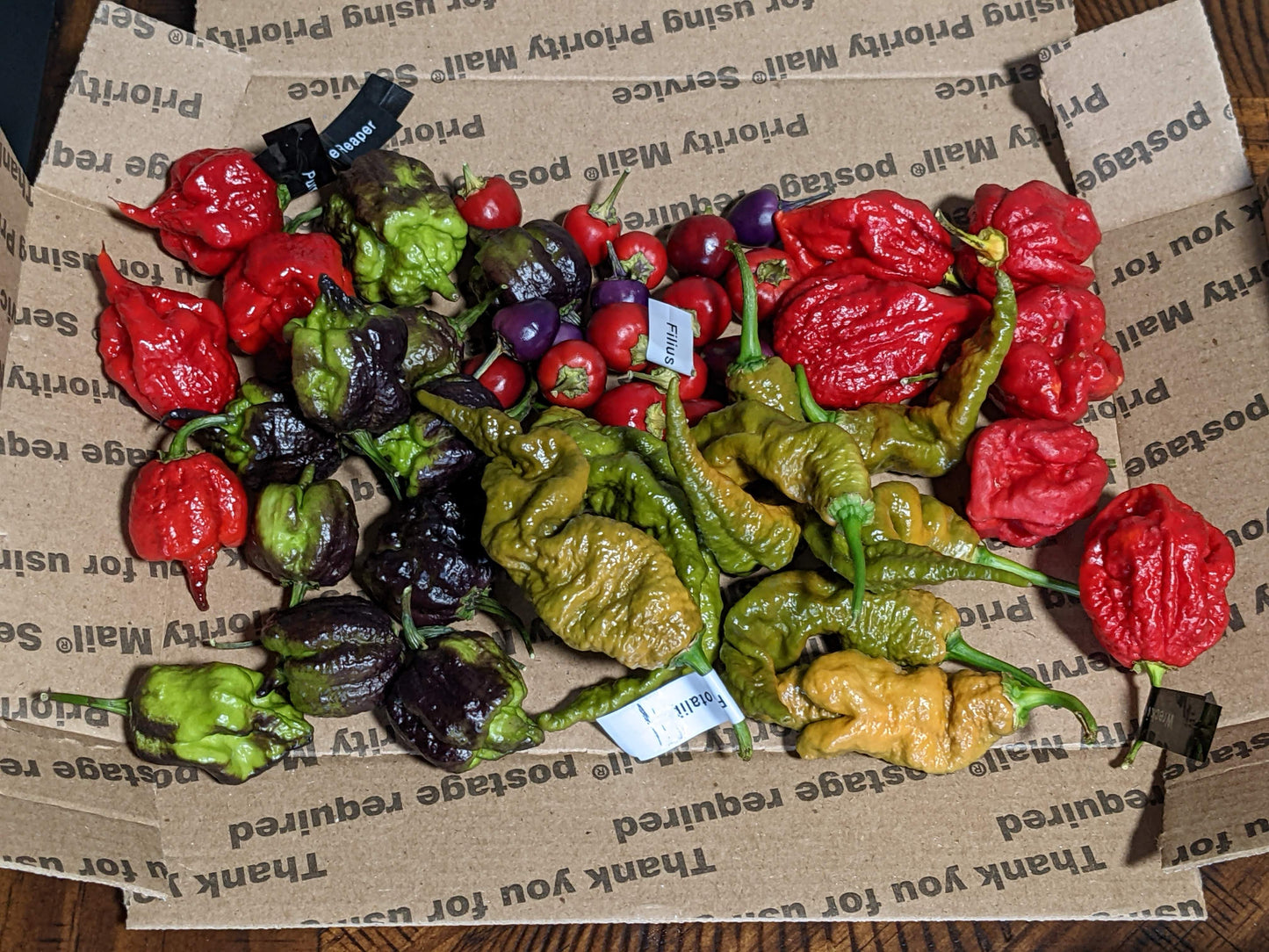 Super-hots + shipping 🔥