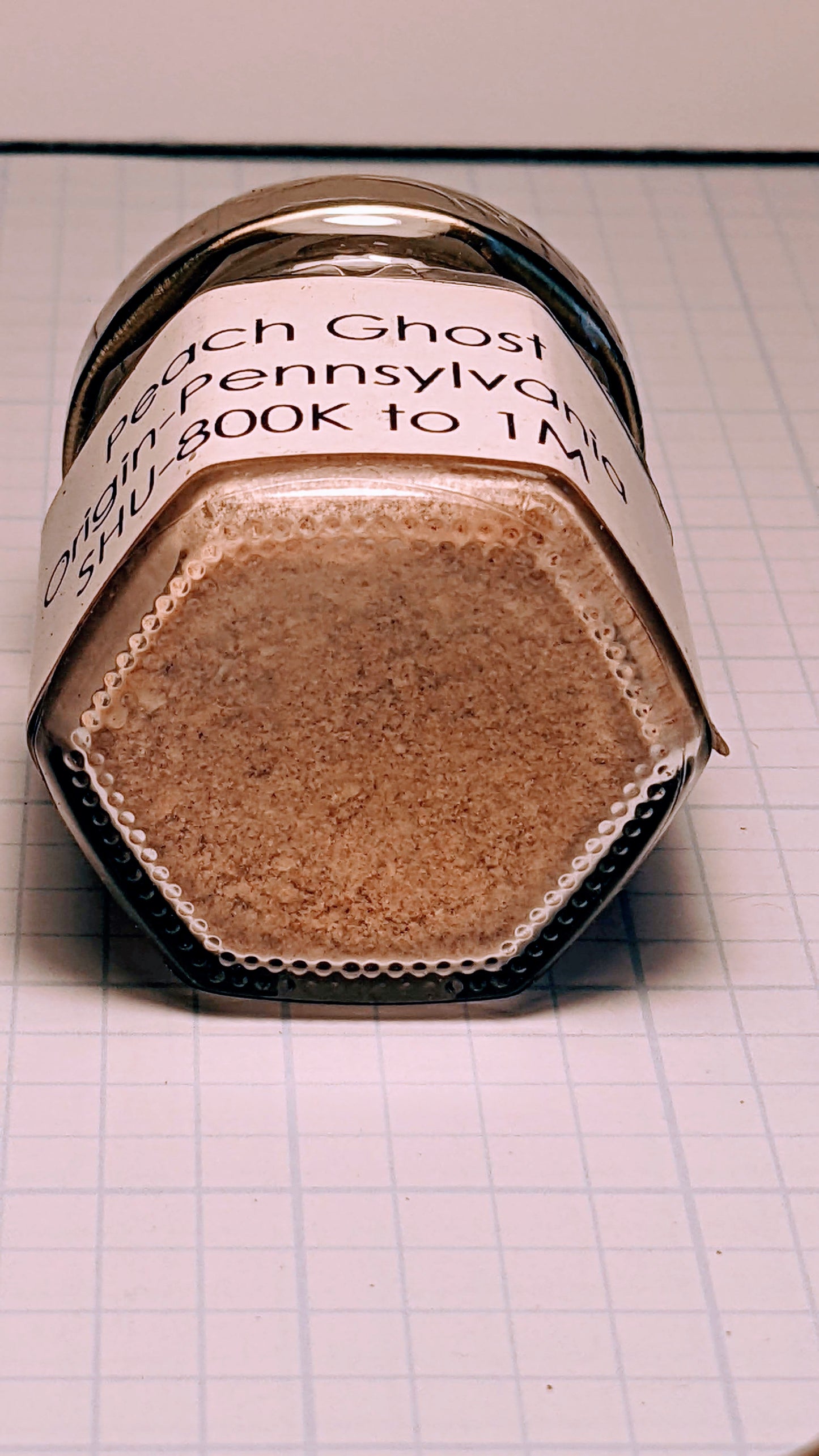 Exotic Pepper Powder